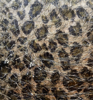 Tinsel Lurex Animal Print Fabric