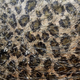 Tinsel Lurex Animal Print Fabric