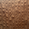 Brown Pucker Fabric