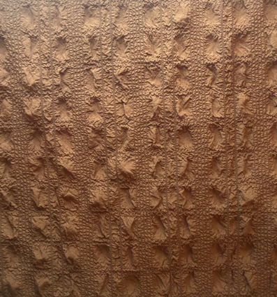 Brown Pucker Fabric