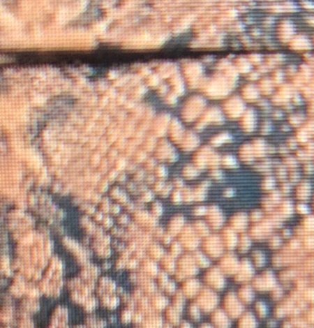 Stretch cotton