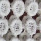 Lace